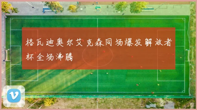 格瓦迪奥尔艾克森同场爆发解放者杯全场沸腾