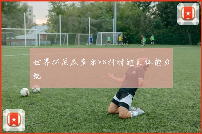 世界杯厄瓜多尔vs科特迪瓦体能分配