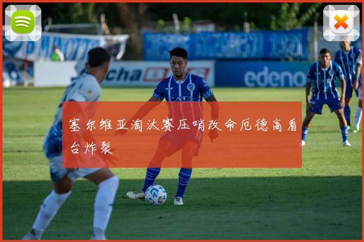 塞尔维亚淘汰赛压哨改命厄德高看台炸裂