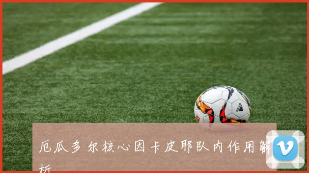 厄瓜多尔核心因卡皮耶队内作用解析