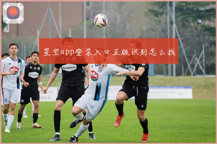 星空app登录入口正版识别怎么找