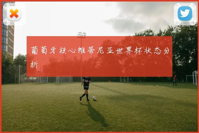 葡萄牙核心维蒂尼亚世界杯状态分析
