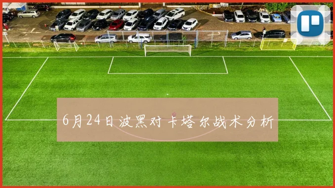 6月24日波黑对卡塔尔战术分析