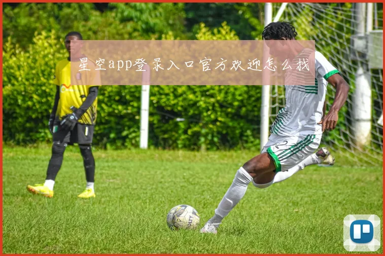 星空app登录入口官方欢迎怎么找