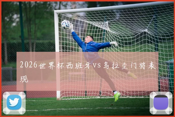 2026世界杯西班牙vs乌拉圭门将表现